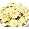 Organic Yellow Chrysanthemum Tea